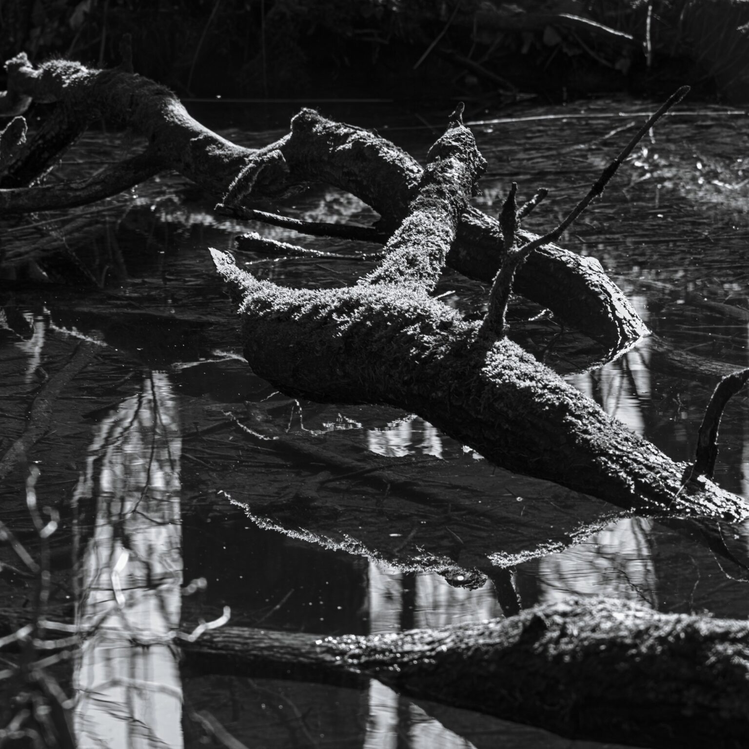 Log Patterns