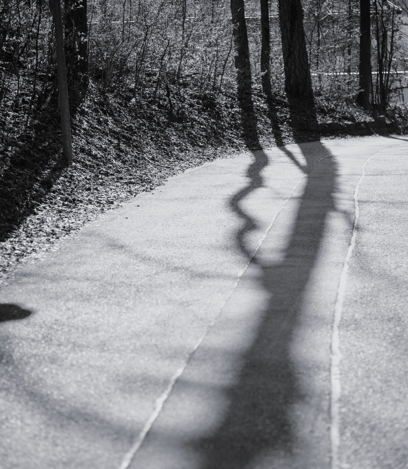 Shadows on the Street