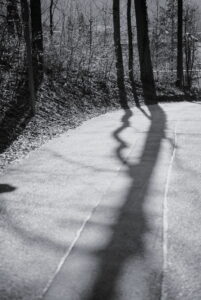 Shadows on the Street
