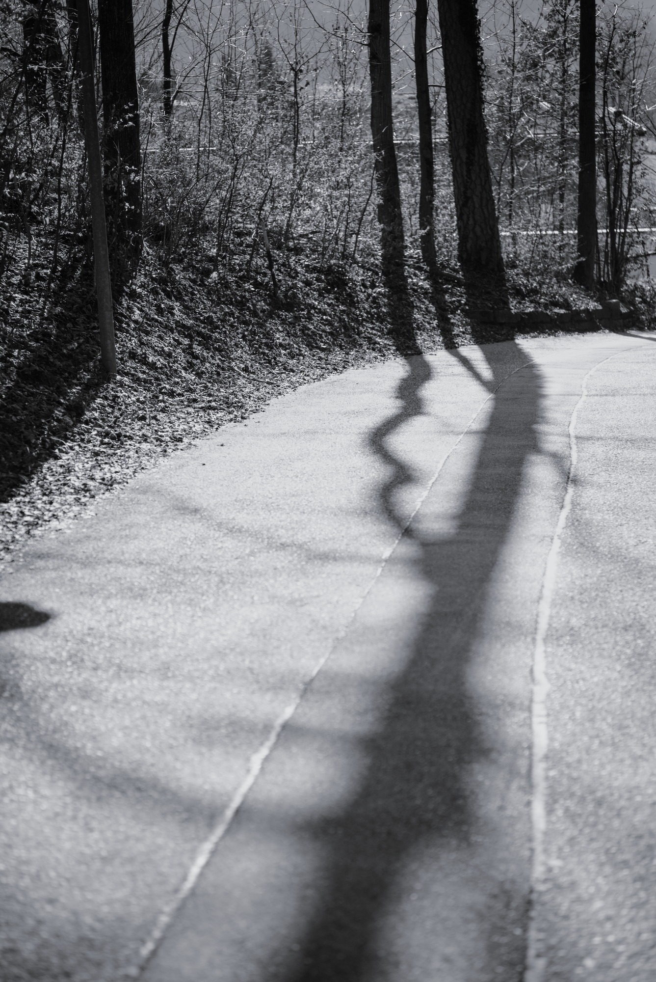 Shadows on the Street