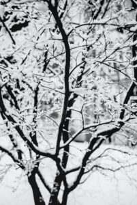 Almost transparent Snow