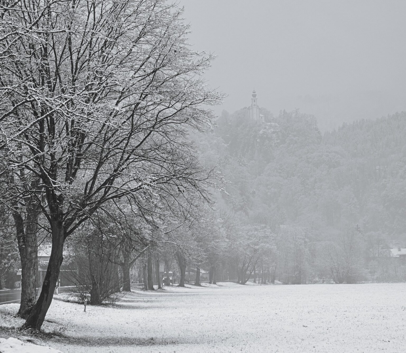 Late winter snow