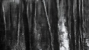 Ripples