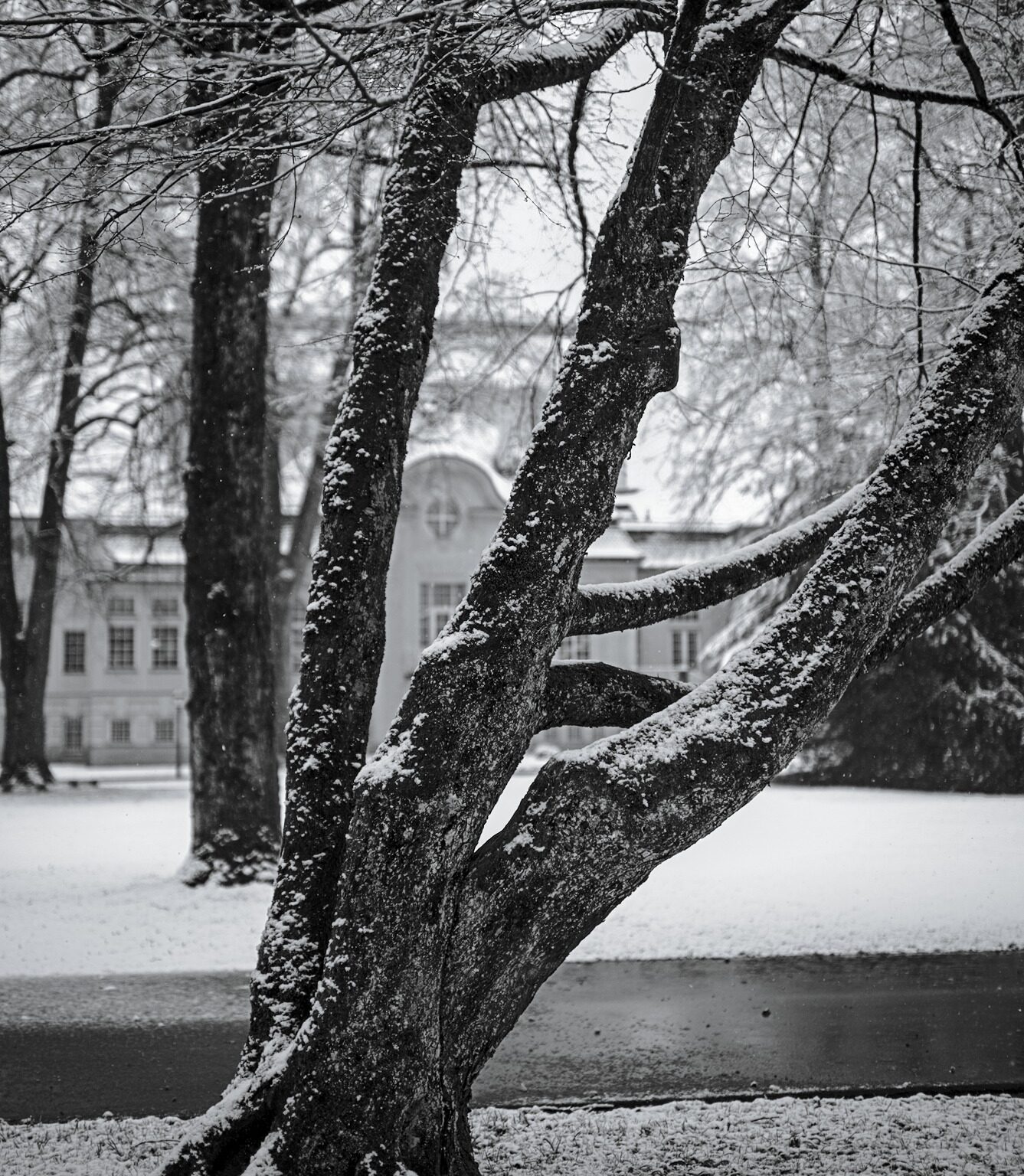 Snow again