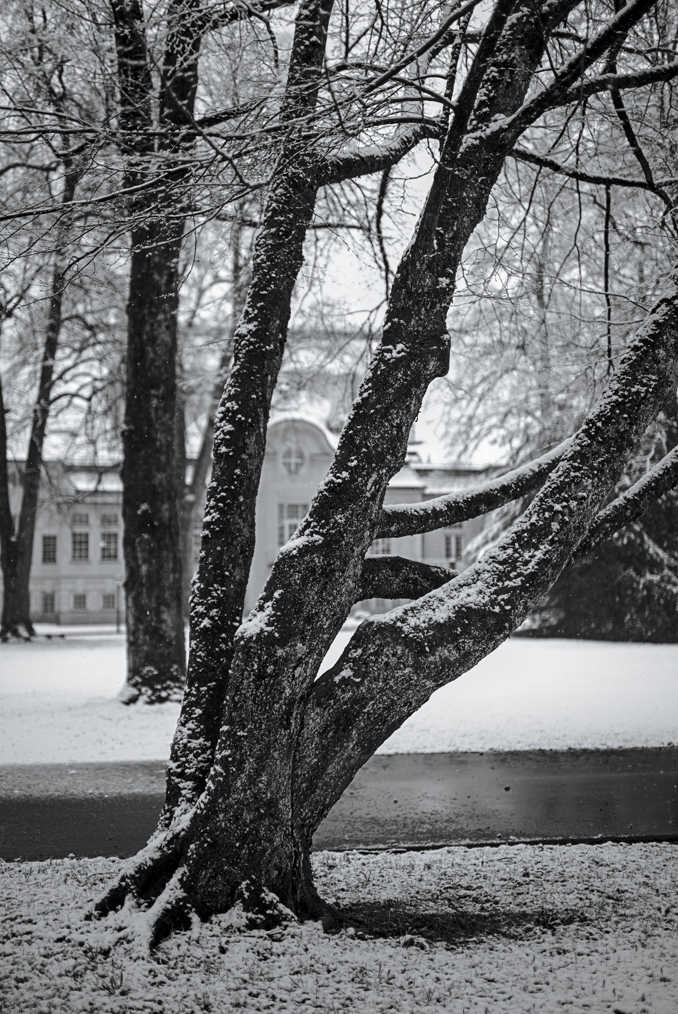 Snow again