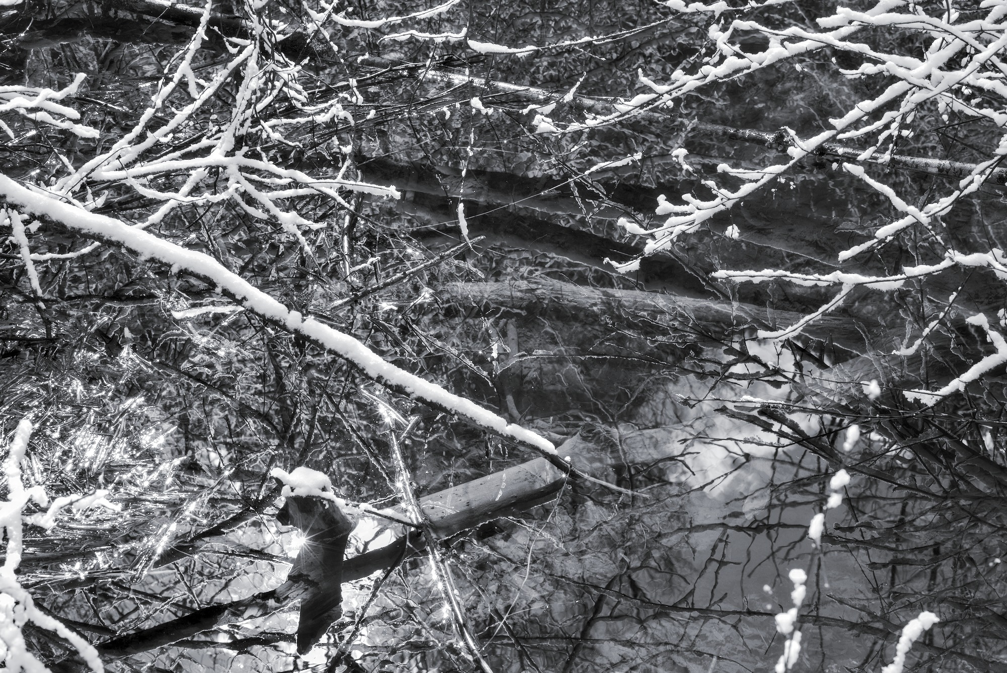 Late snow reflected in the Backwaters