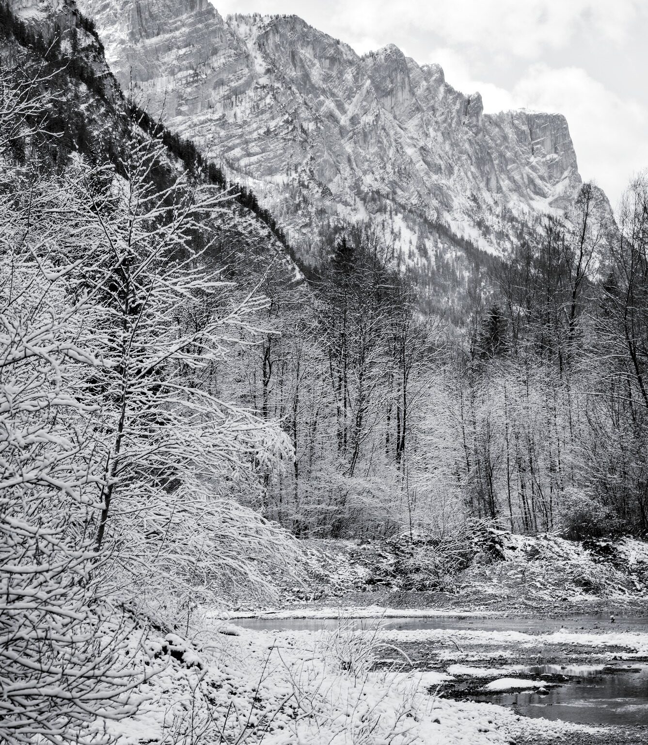 Reiteralm vom Paradies