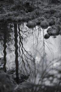 Ripples