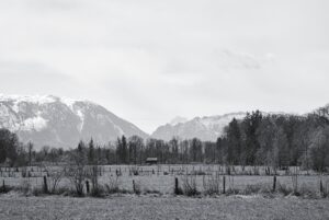 Spring Interlude