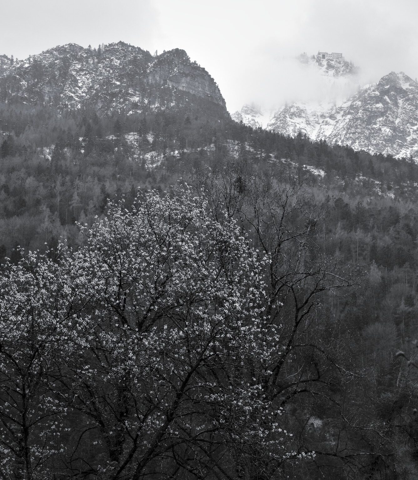 Spring in the Valley