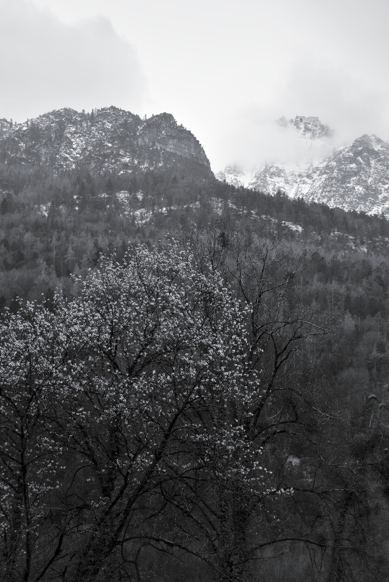 Spring in the Valley