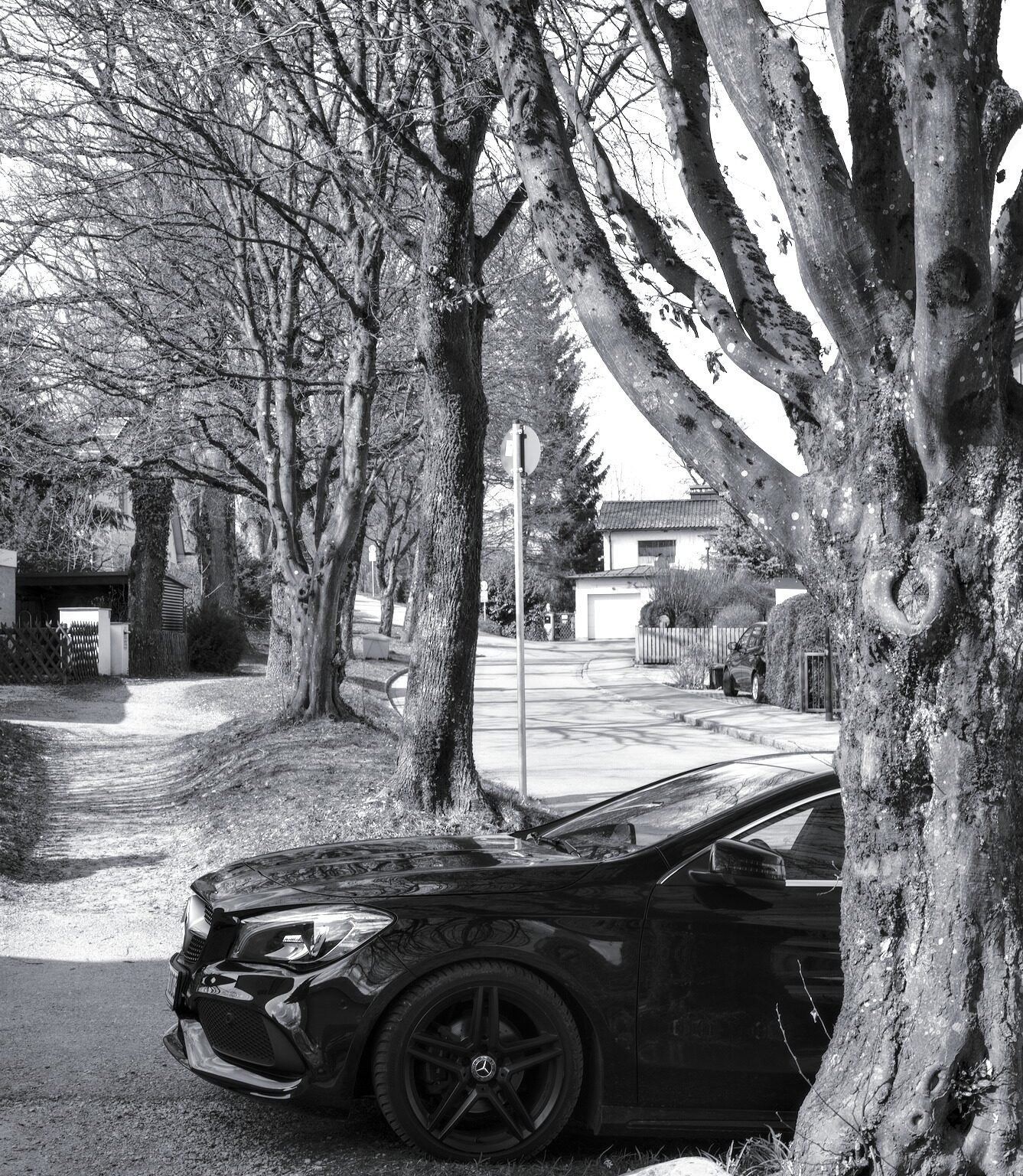 Car on the Prowl