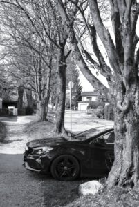 Car on the Prowl