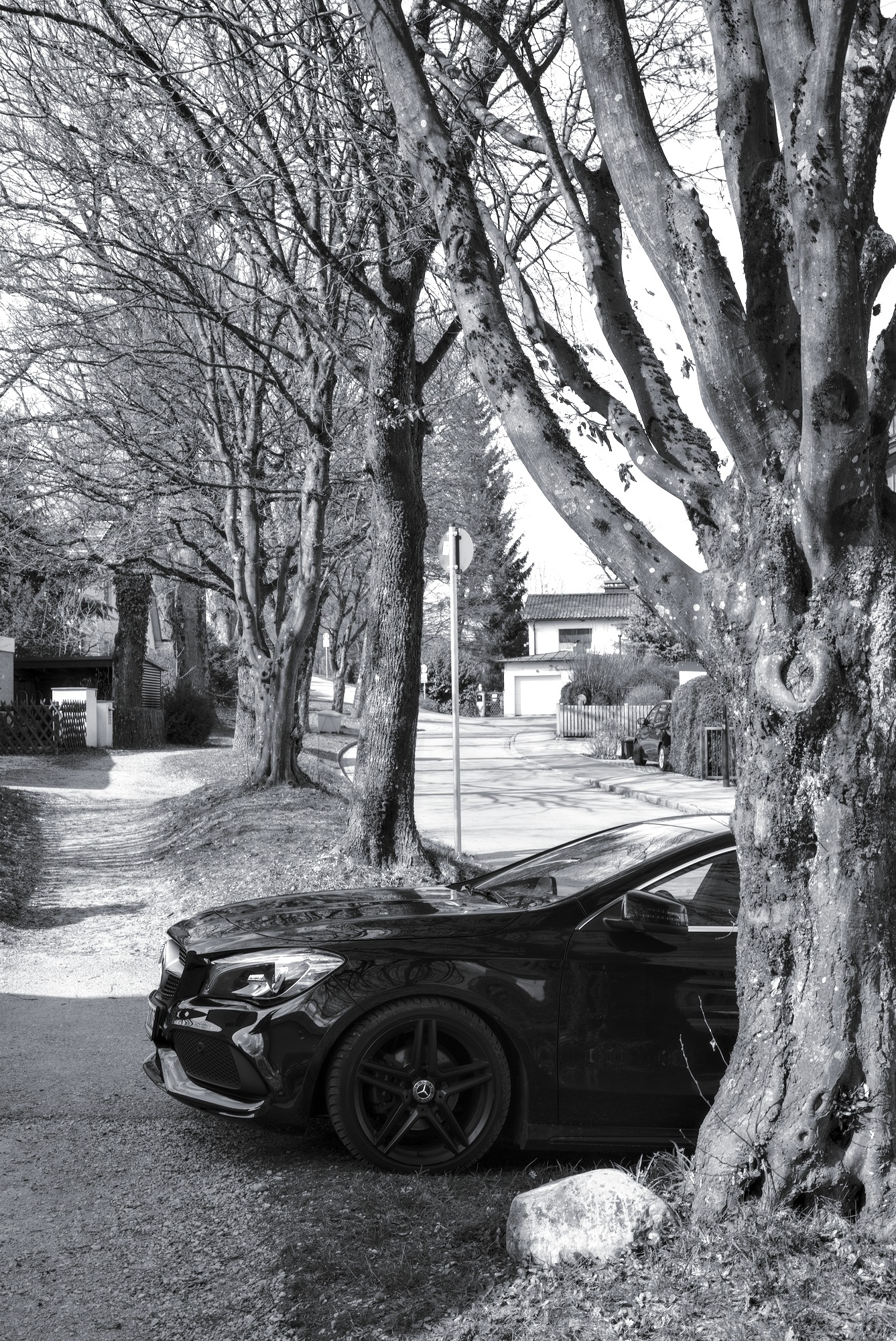 Car on the Prowl