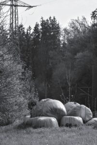 Droppings