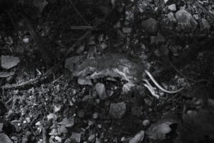 Memento Mori
