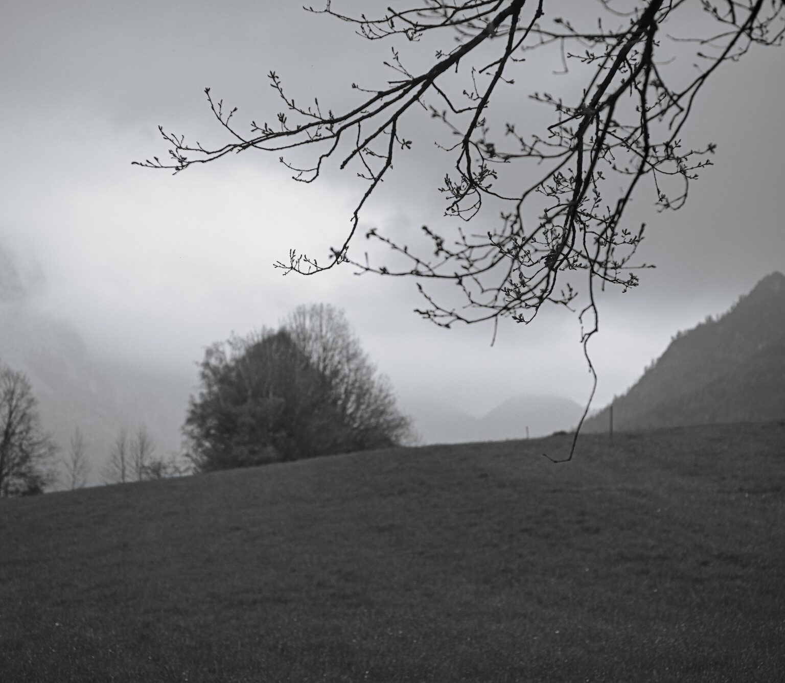 Rain is coming