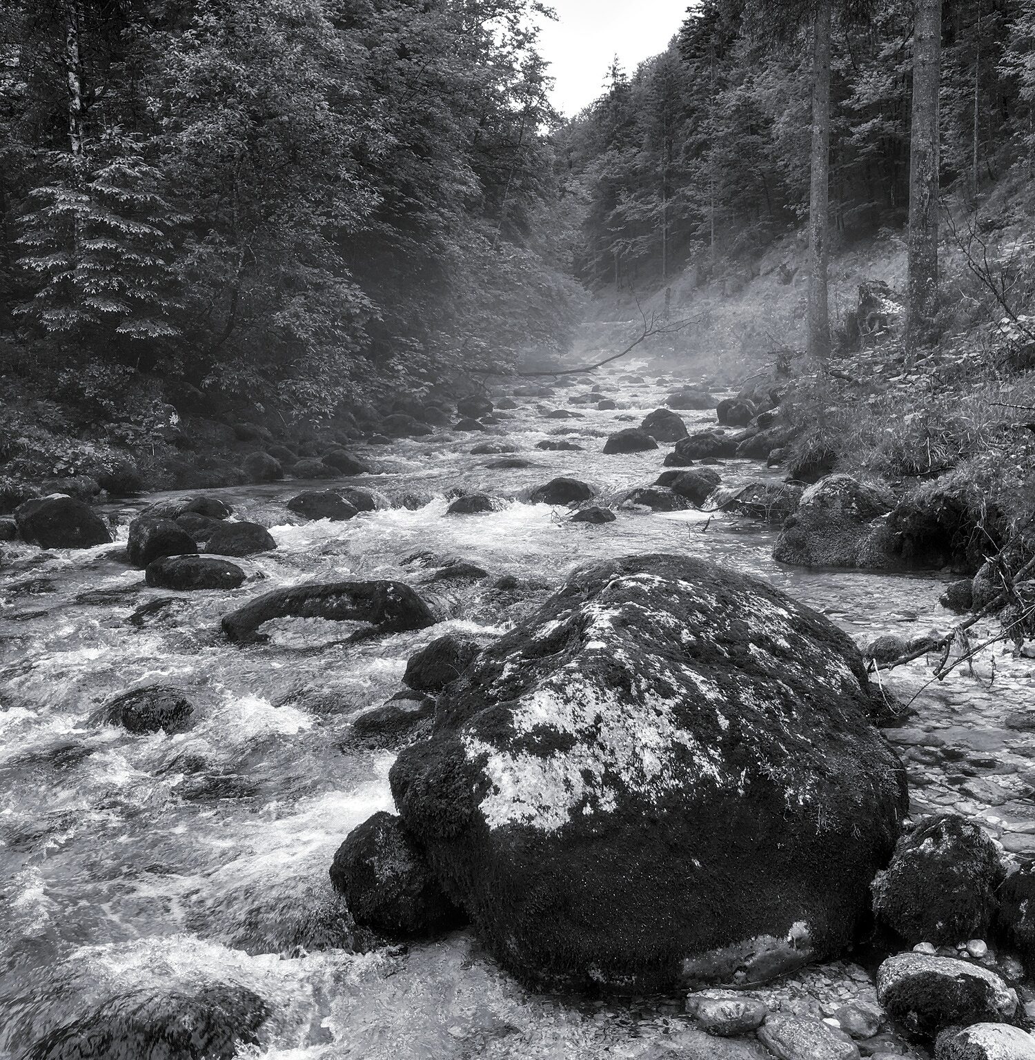 Boulder in Schwarzbach Creek