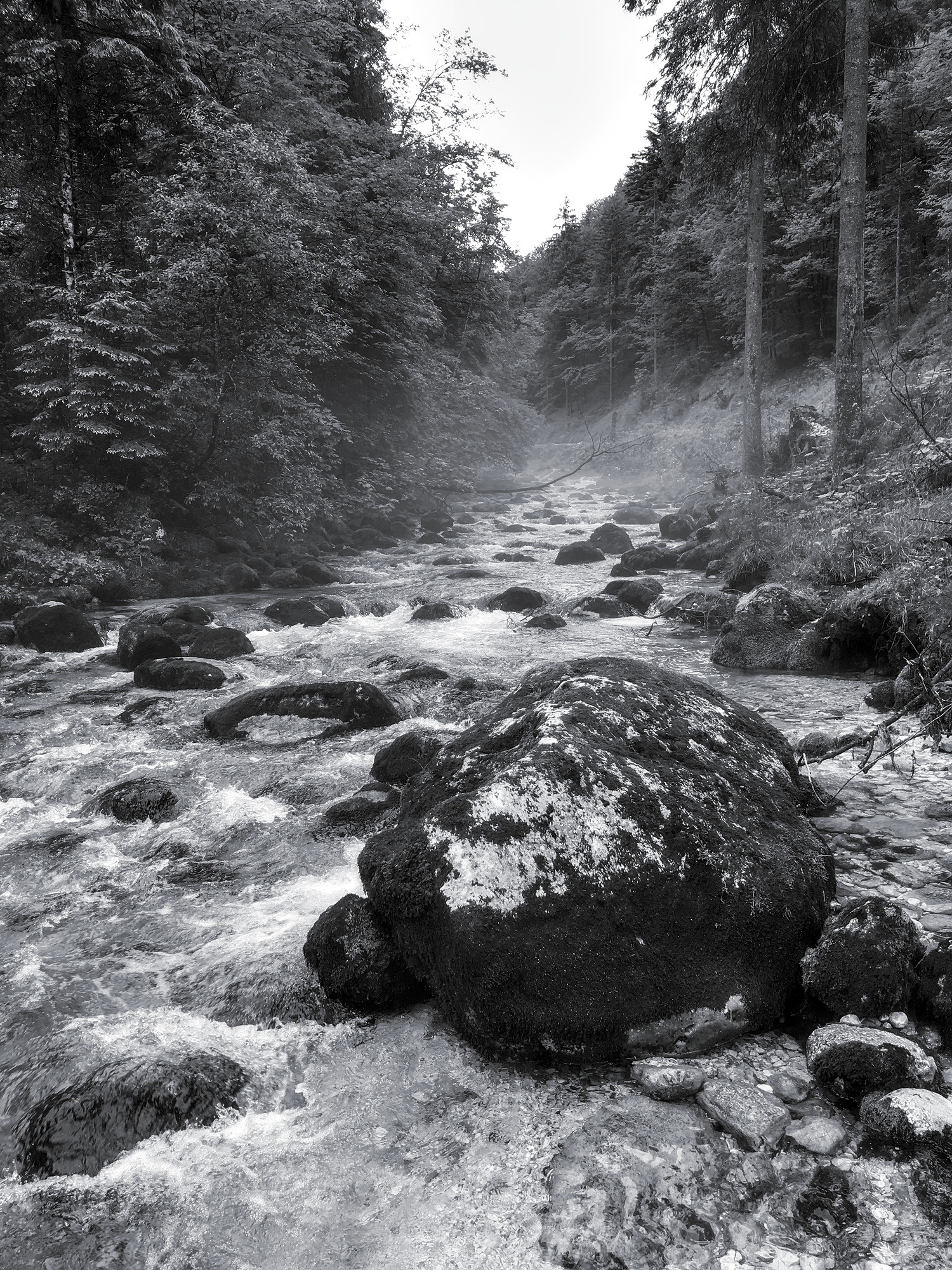 Boulder in Schwarzbach Creek