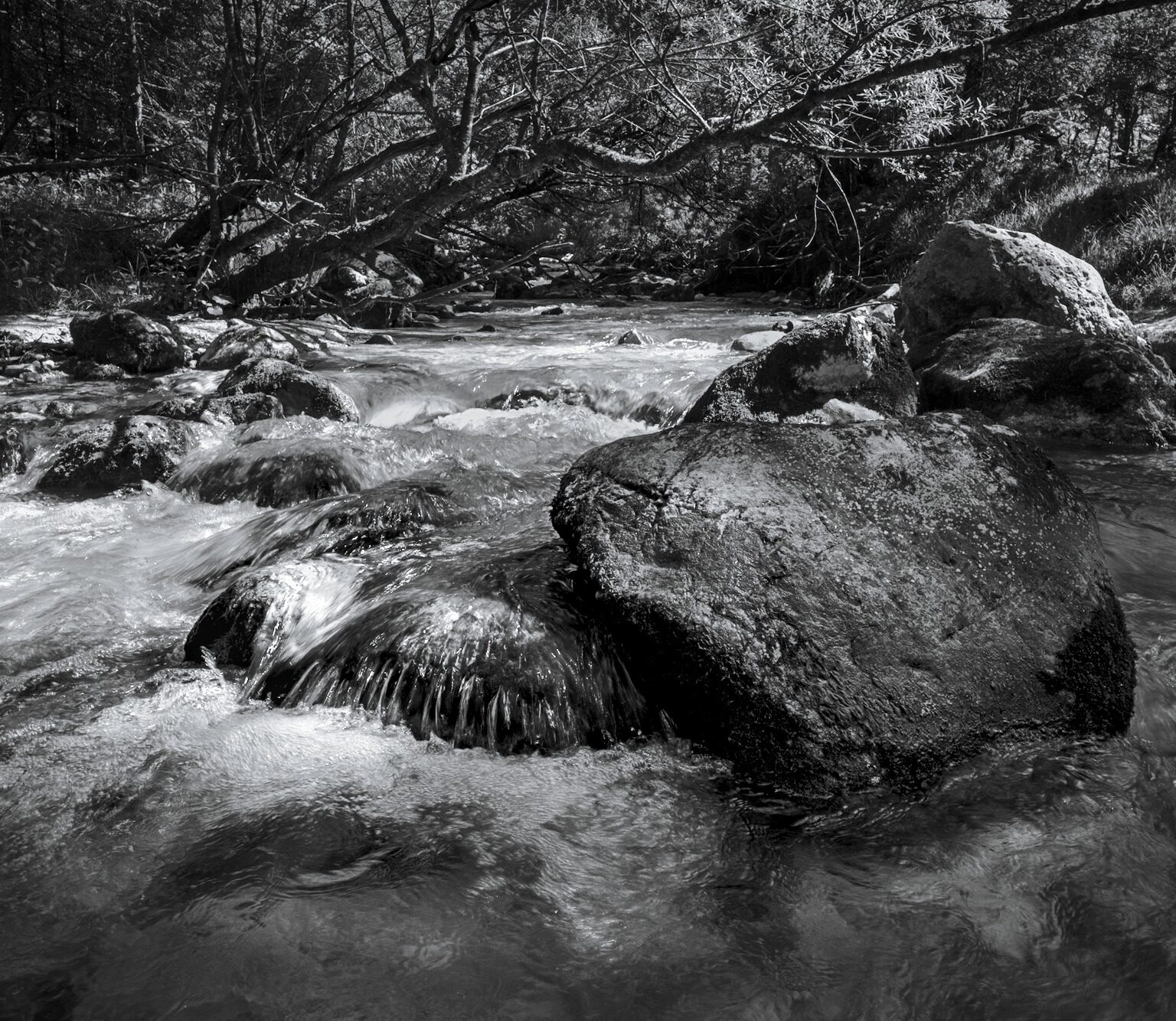Boulders in Frechenbach