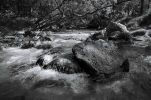 Boulders in Frechenbach
