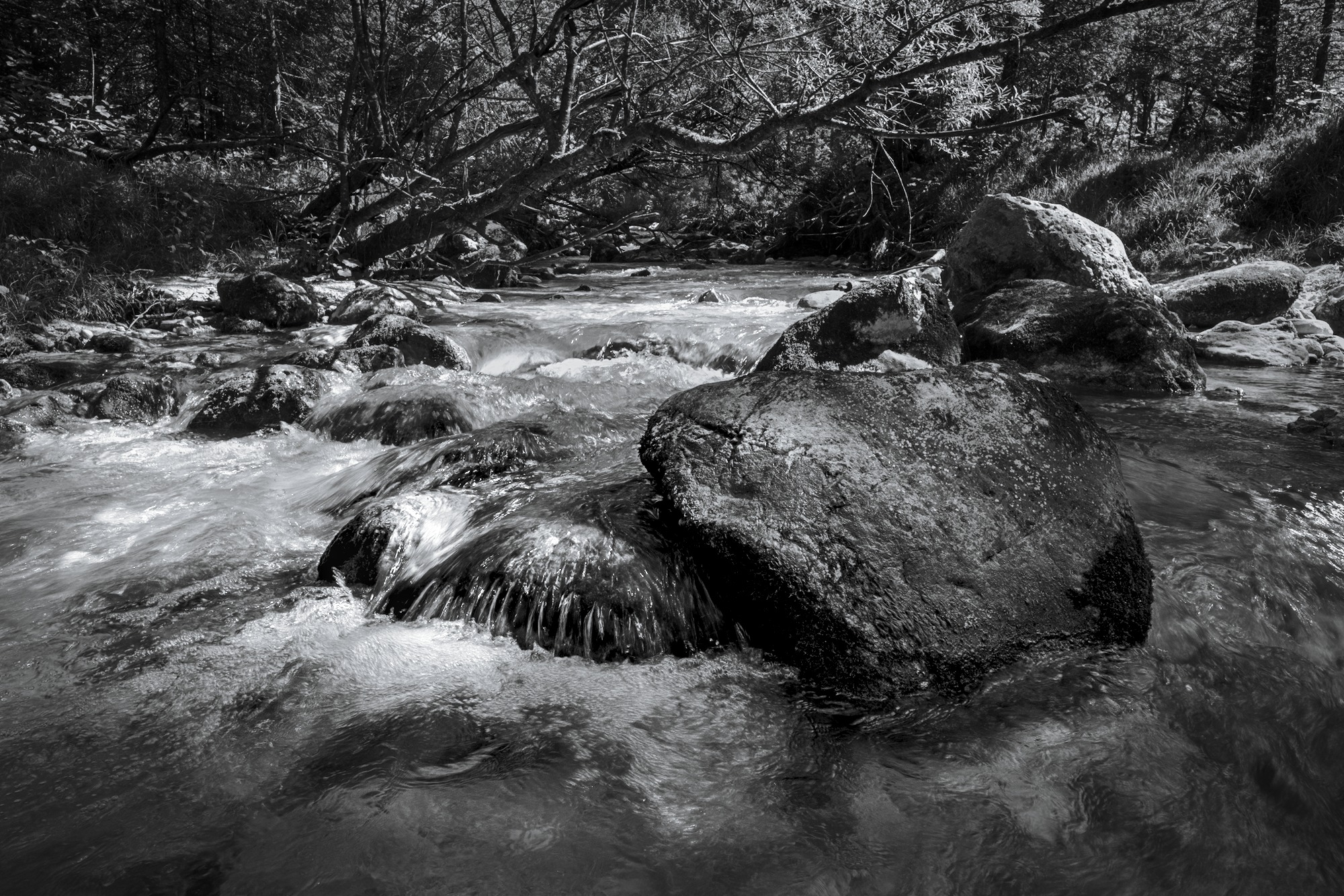 Boulders in Frechenbach