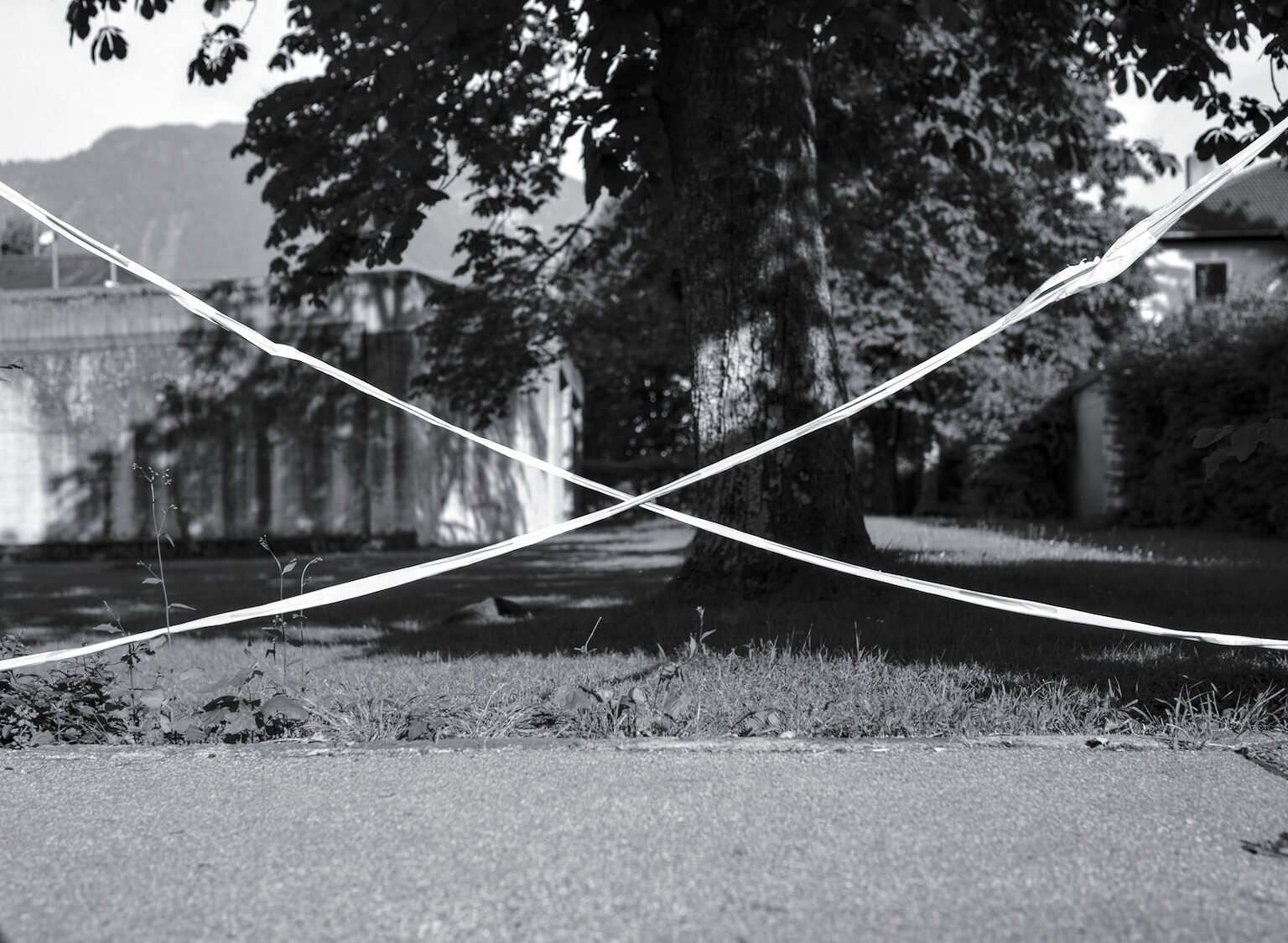 Provisional Fence