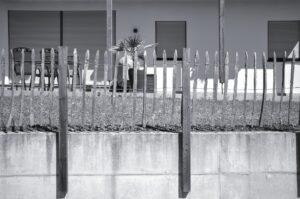 Vintage Fence