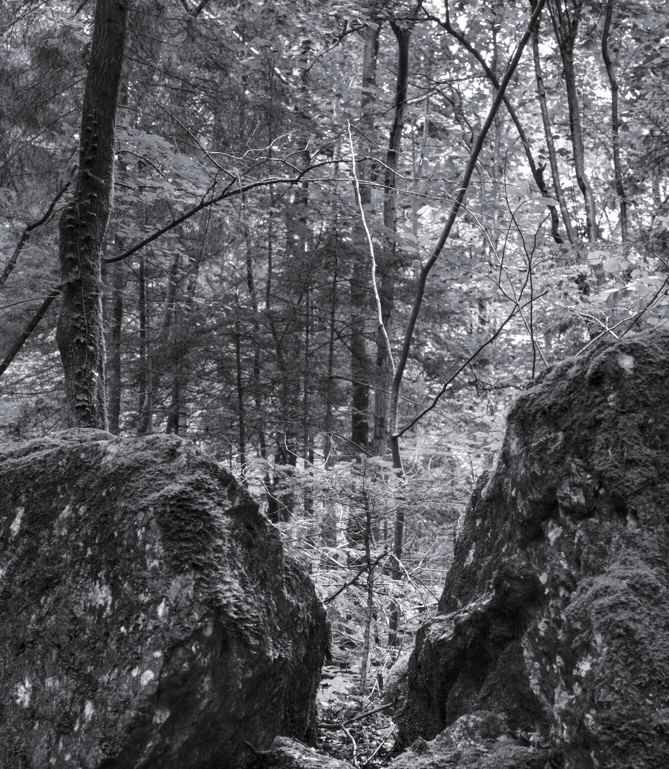 Boulders searching contact