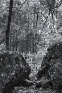 Boulders searching contact