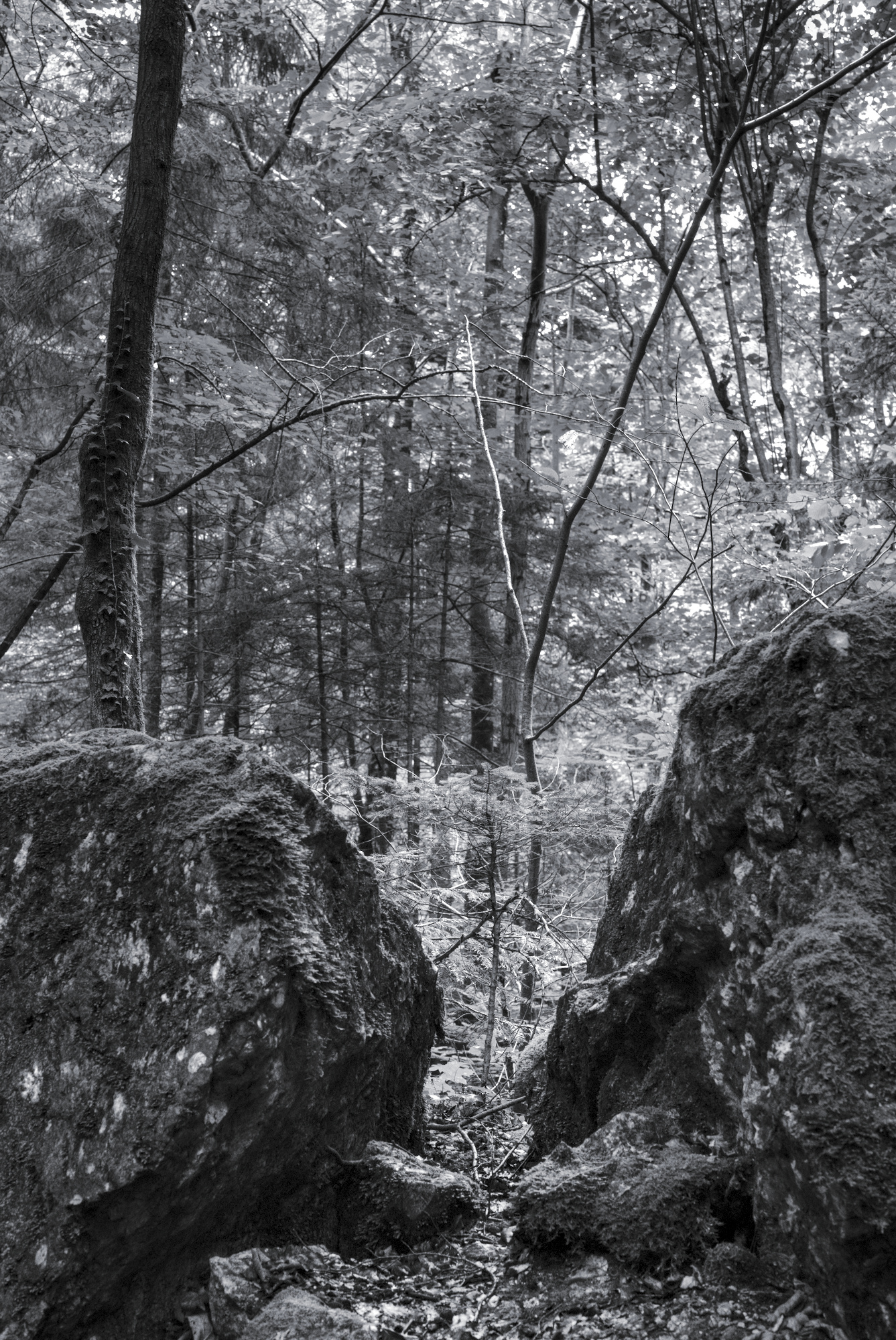 Boulders searching contact