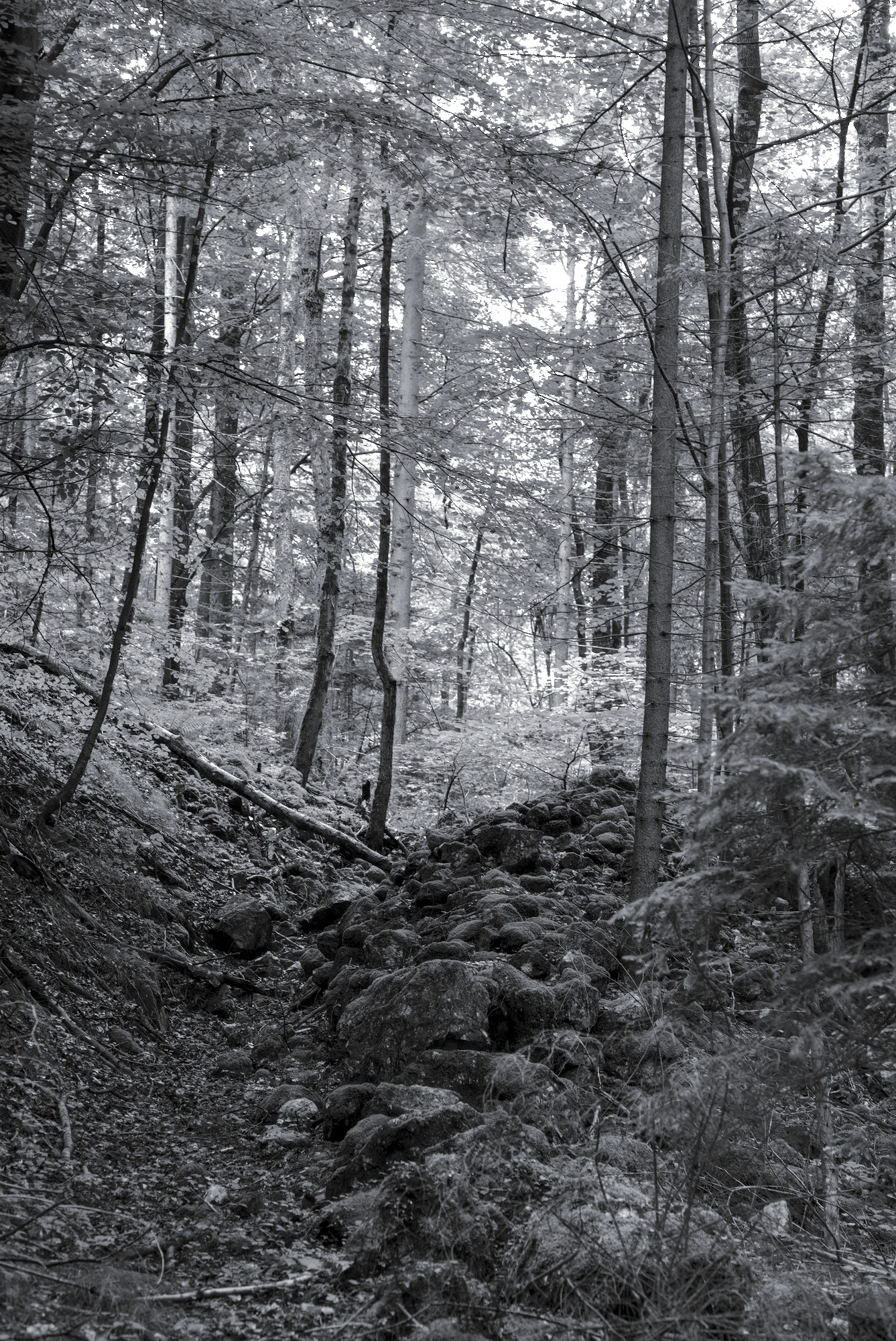 Brook of Stones