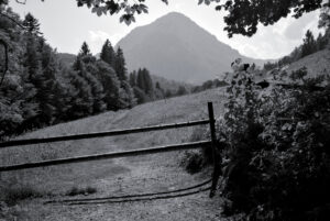 Mountain Pastures
