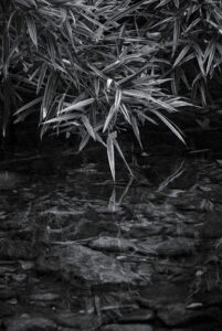 Touch