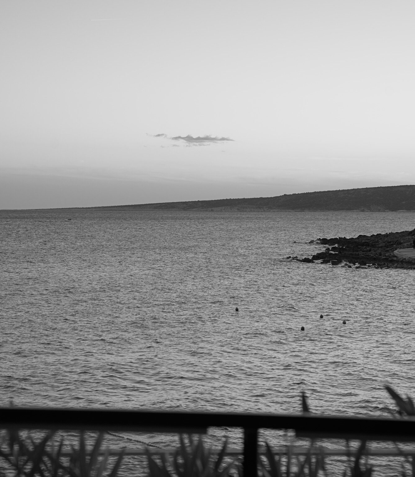 Quiet Evening