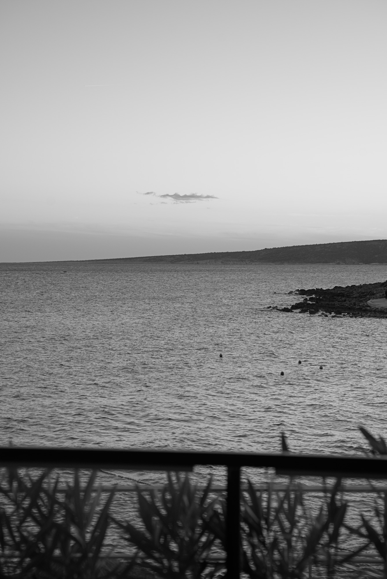 Quiet Evening