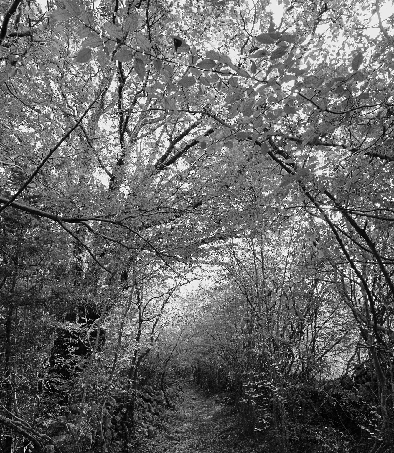 Light flooding