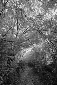 Light flooding