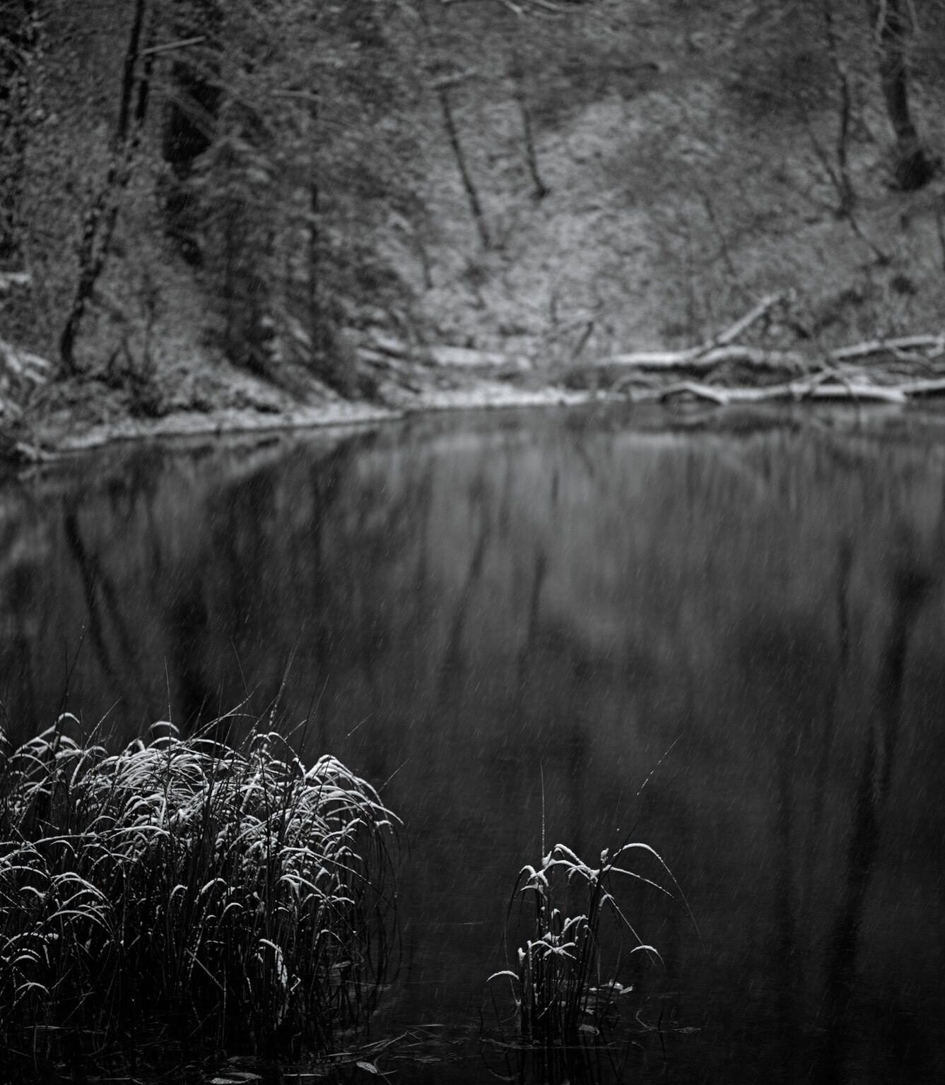 Reed, speaking of Summer gone