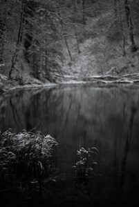 Reed, speaking of Summer gone