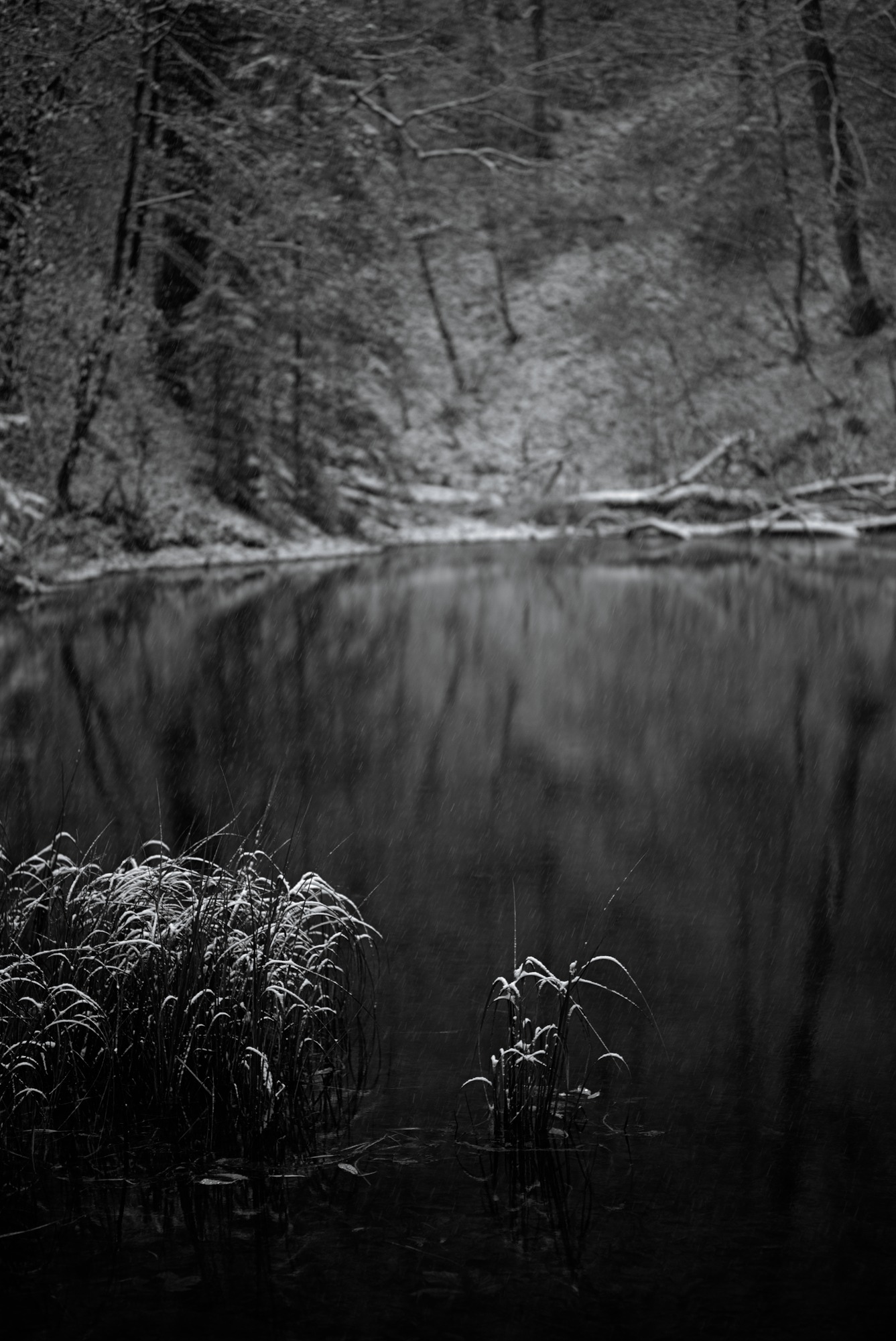 Reed, speaking of Summer gone