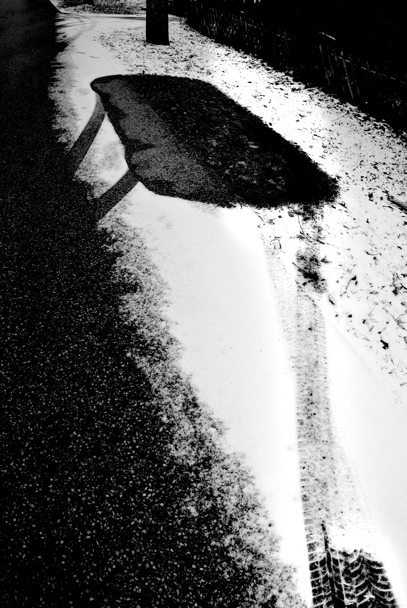 Enigmatic Traces