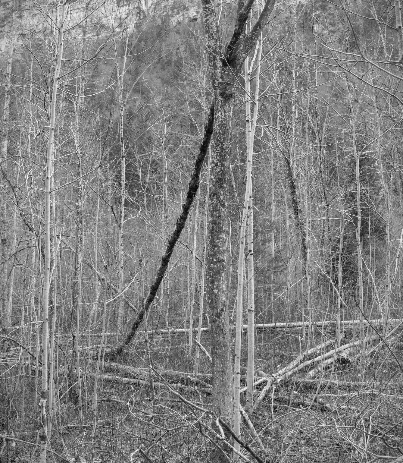 Fallen but held