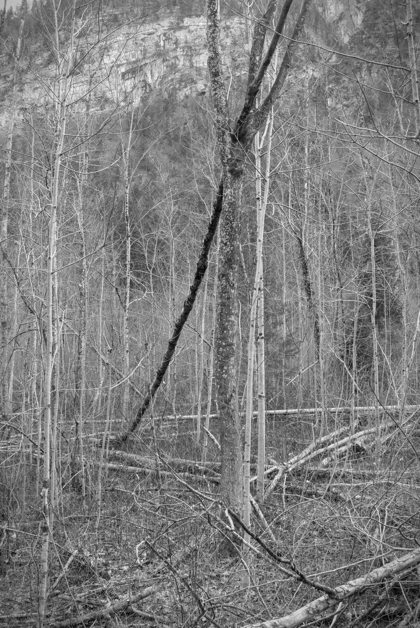 Fallen but held