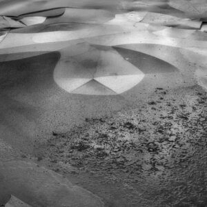 Shards