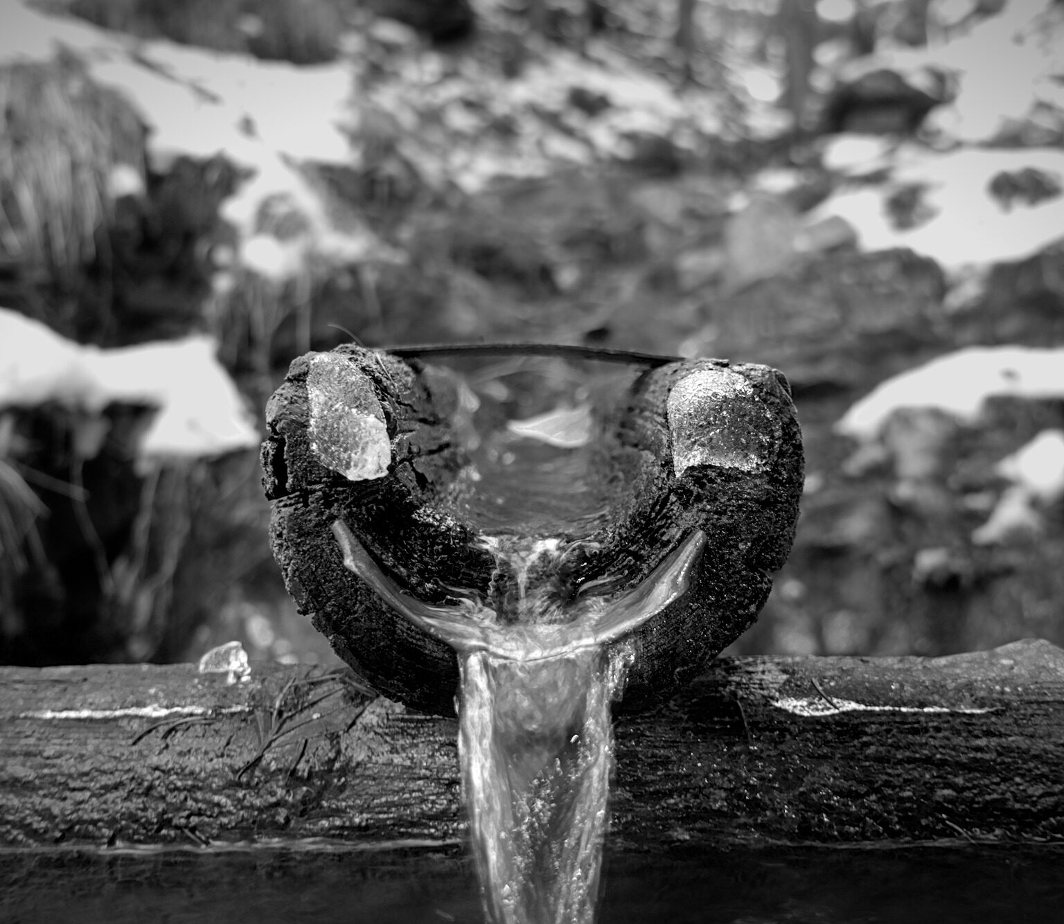 The Pareidolist’s Delight