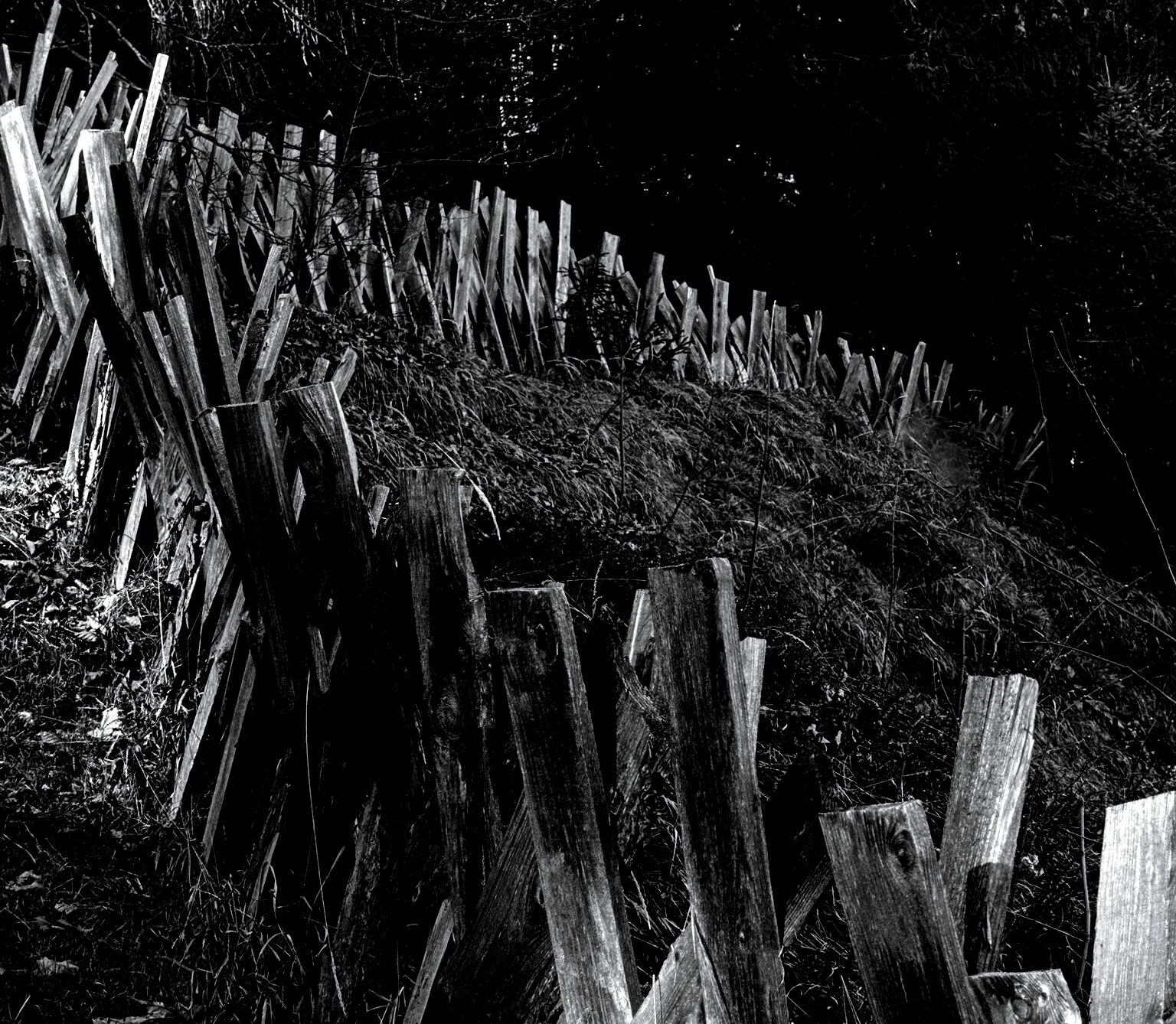 Wooden Fence