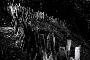 Wooden Fence