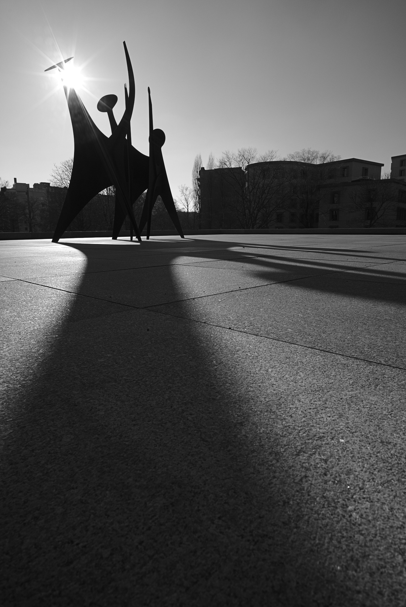 Têtes et Queue