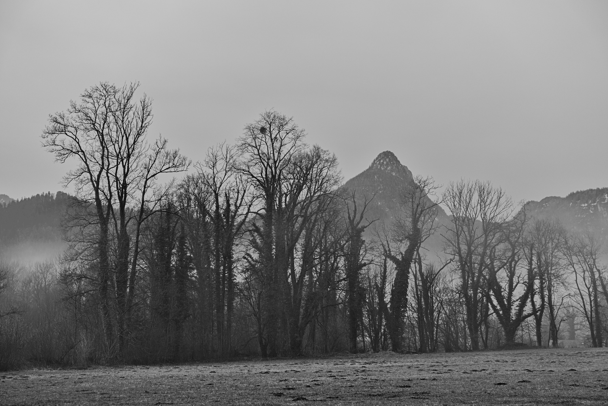 Someone has to get mired in scum and ashes